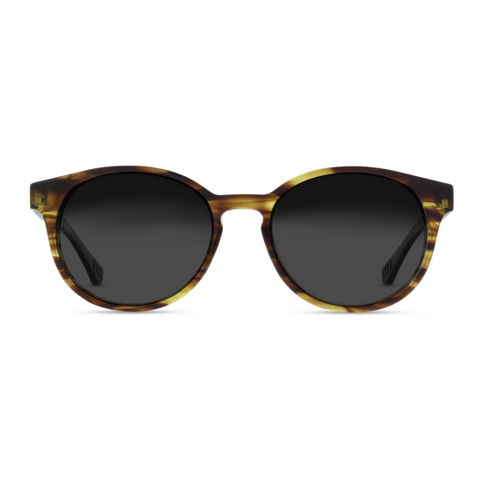 Lentes de Sol Olivo