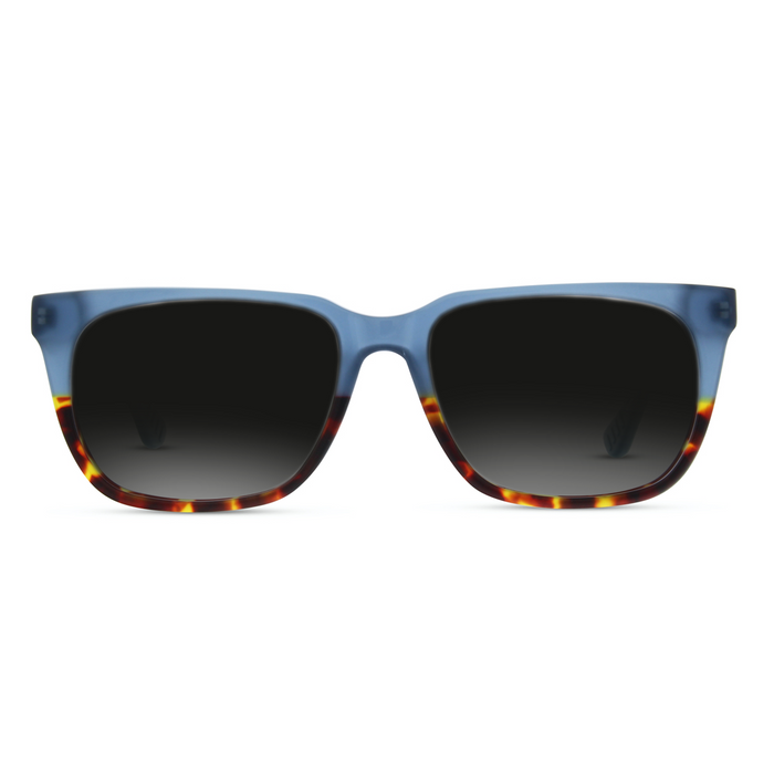 Lentes de Sol Helecho