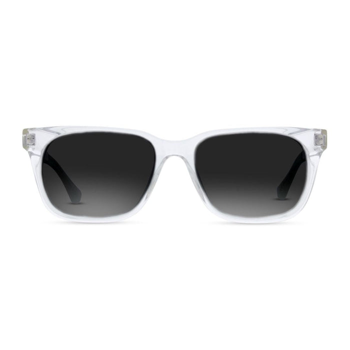 Lentes de Sol Helecho