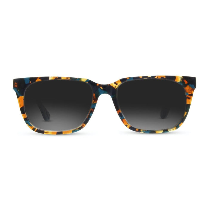 Lentes de Sol Helecho