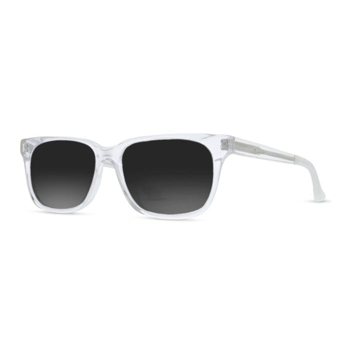 Lentes de Sol Helecho