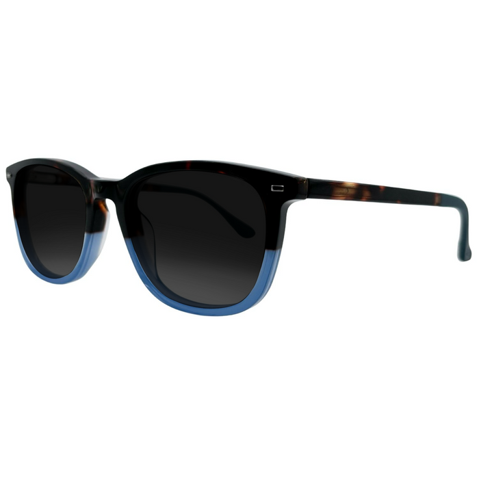 Lentes de Sol Roble