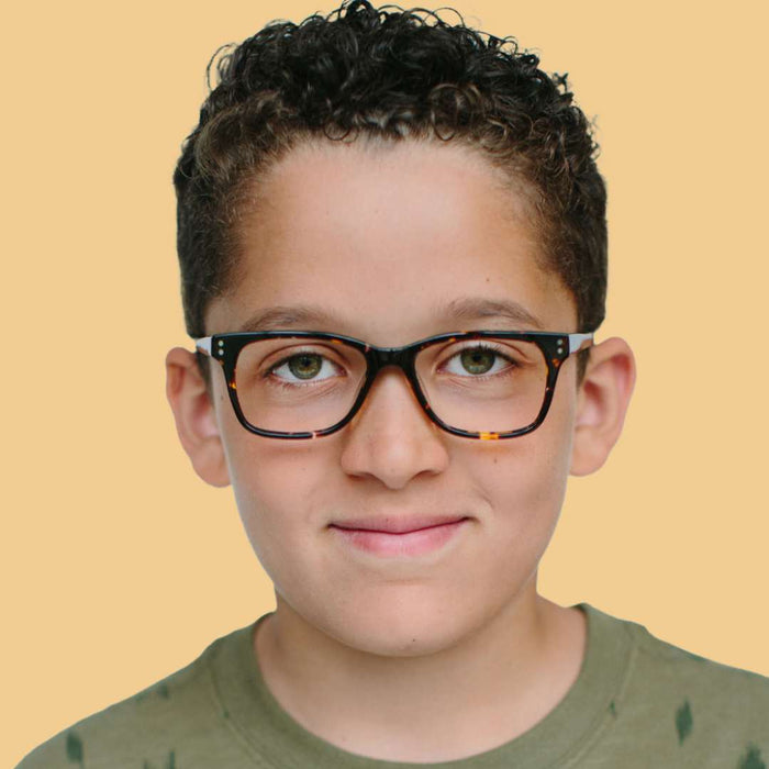 Armazón Ceibo