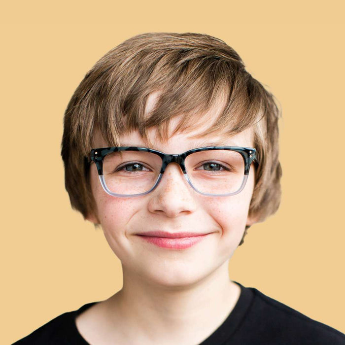 Armazón Ceibo